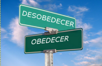 Basta obedecer?